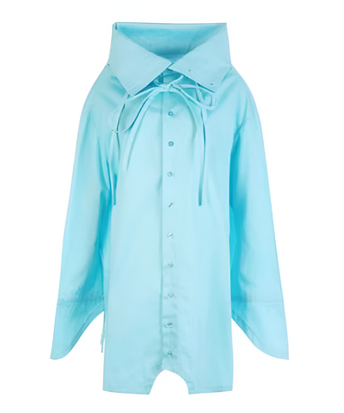 Ribbon Collar Tunic Blouse