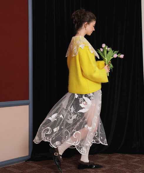 Sheer Embroidered Mesh Skirt