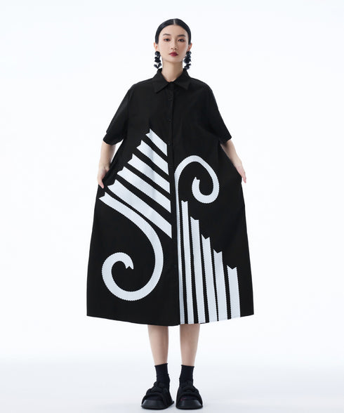 Graphic Flare Shirt Dress