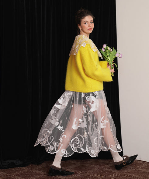 Sheer Embroidered Mesh Skirt