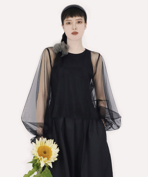 Aerial Veil Sleeve Top