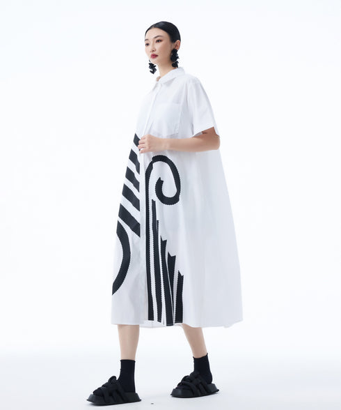 Graphic Flare Shirt Dress