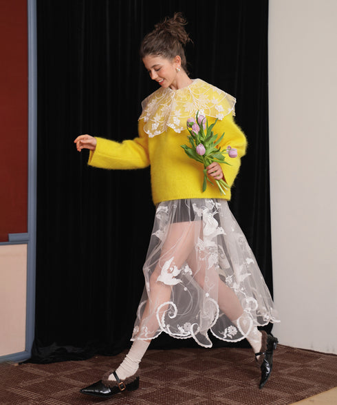 Sheer Embroidered Mesh Skirt