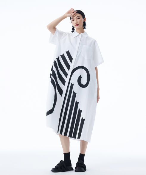 Graphic Flare Shirt Dress