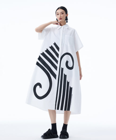 Graphic Flare Shirt Dress
