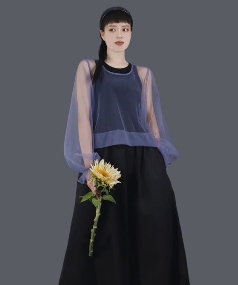 Aerial Veil Sleeve Top