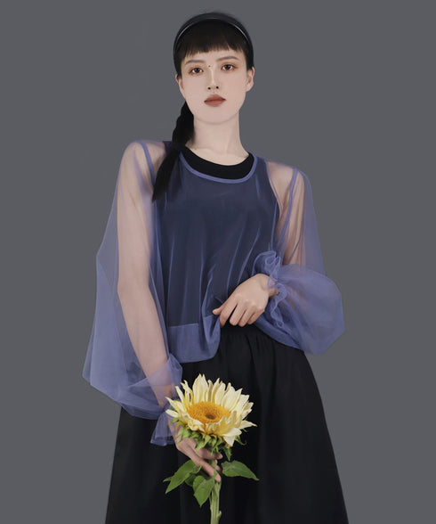 Aerial Veil Sleeve Top