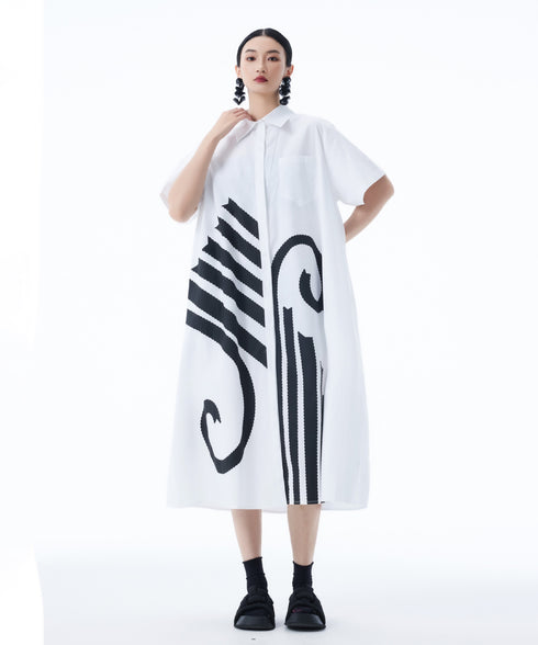 Graphic Flare Shirt Dress