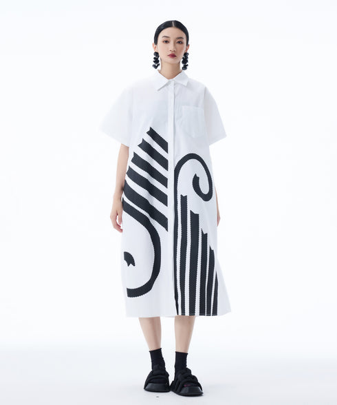 Graphic Flare Shirt Dress