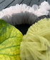 Halo Frill Rib Socks