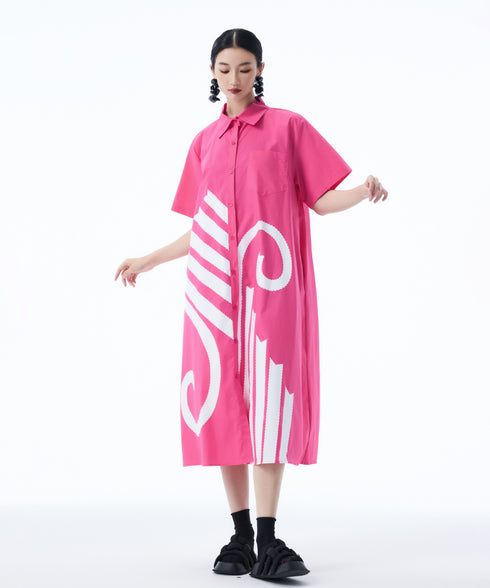 Graphic Flare Shirt Dress