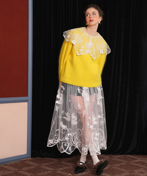 Sheer Embroidered Mesh Skirt