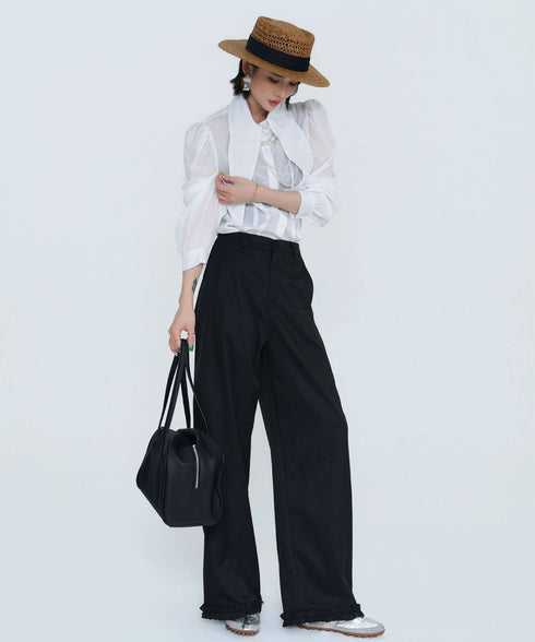 Wide Collar Sheer Blouse