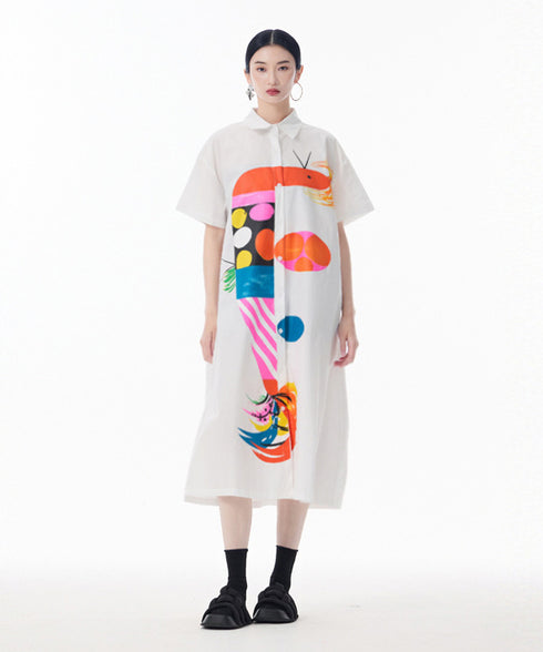 Color Parade Shirt Dress
