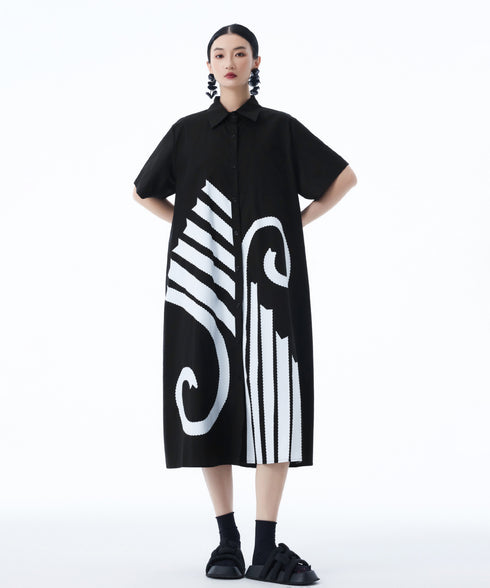 Graphic Flare Shirt Dress