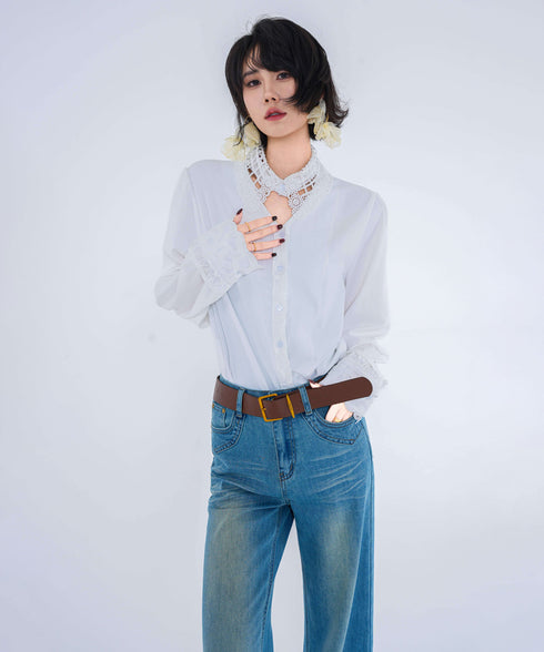 Lace Collar Sheer Blouse