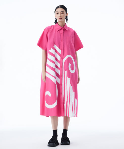 Graphic Flare Shirt Dress