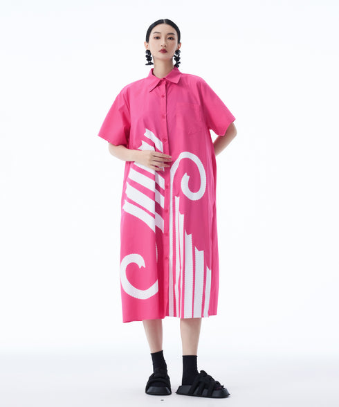 Graphic Flare Shirt Dress