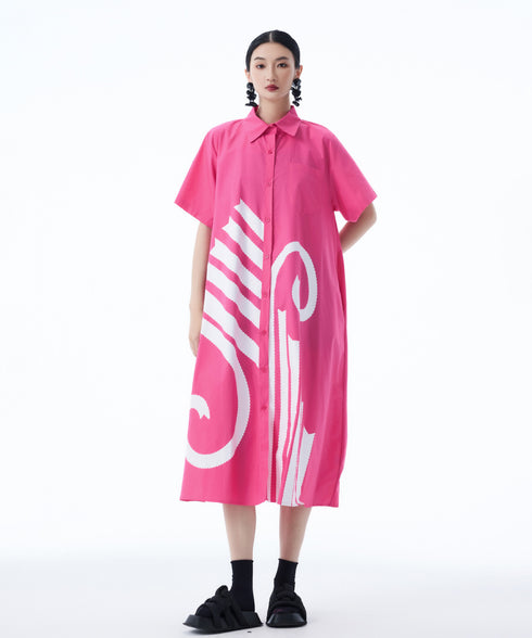 Graphic Flare Shirt Dress