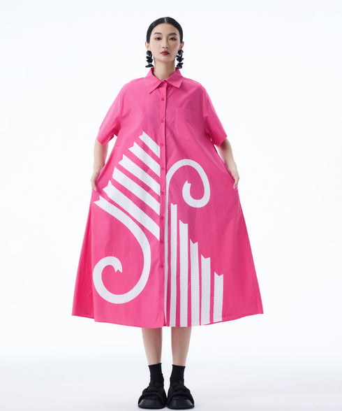 Graphic Flare Shirt Dress