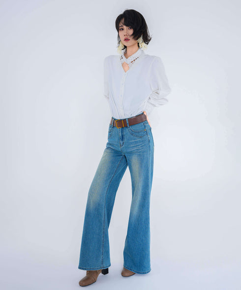 Lace Collar Sheer Blouse