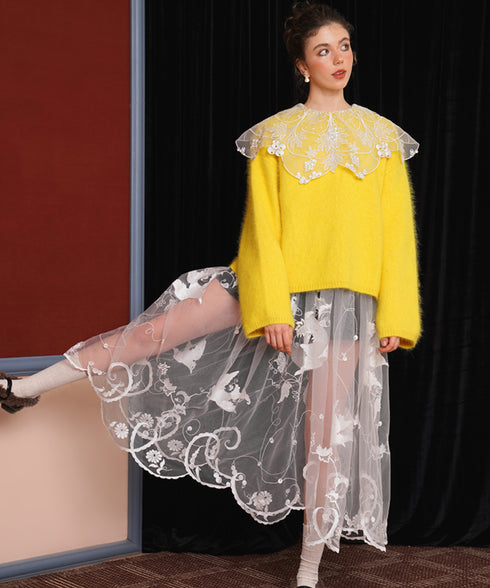 Sheer Embroidered Mesh Skirt