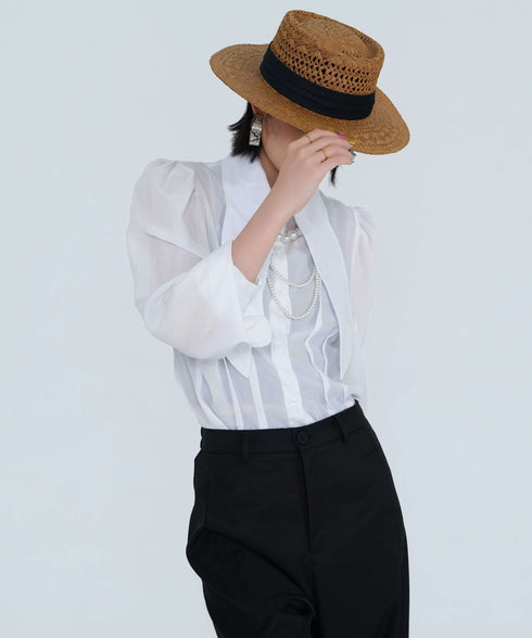 Wide Collar Sheer Blouse