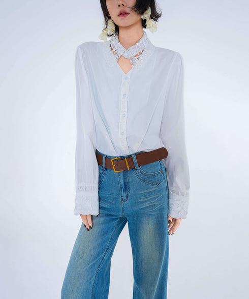 Lace Collar Sheer Blouse