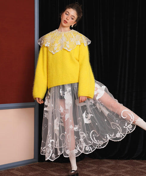 Sheer Embroidered Mesh Skirt