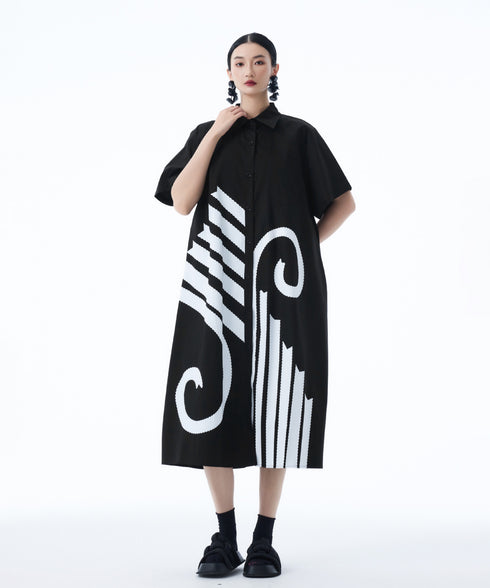 Graphic Flare Shirt Dress