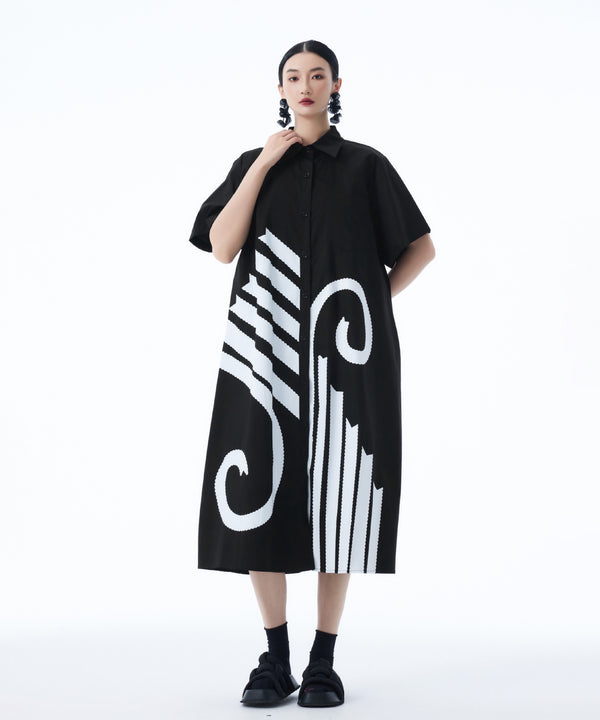 Graphic Flare Shirt Dress