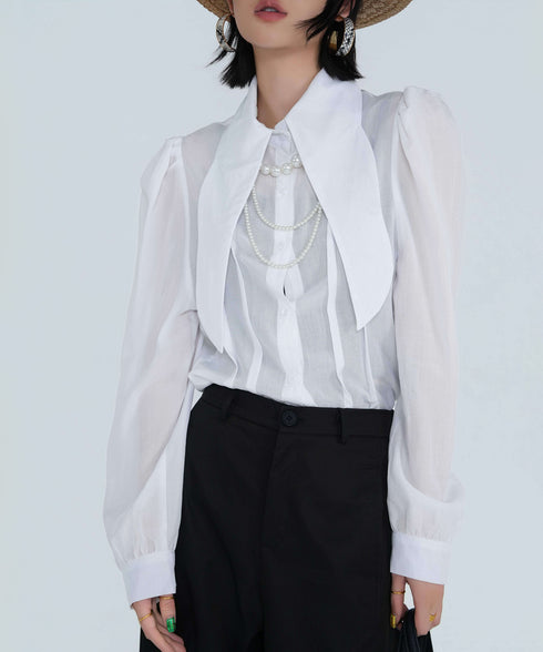 Wide Collar Sheer Blouse