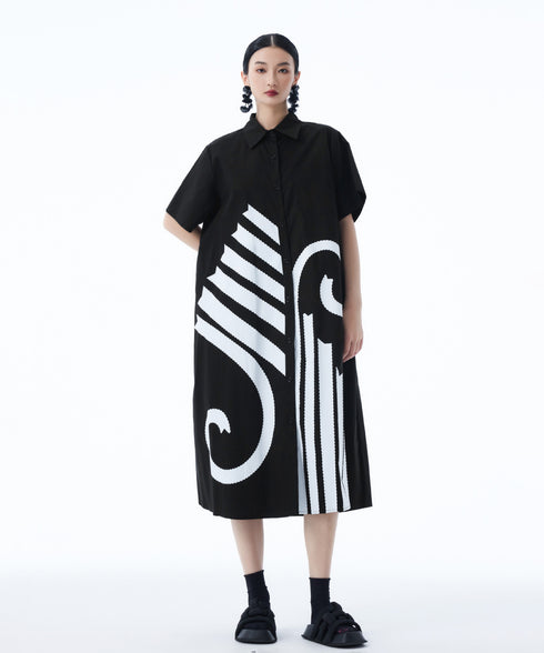Graphic Flare Shirt Dress