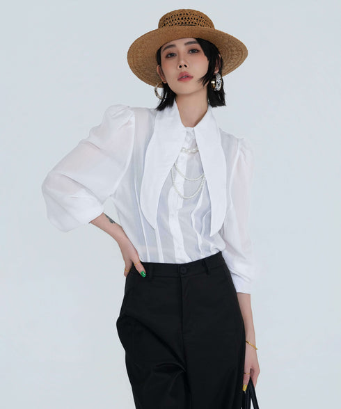 Wide Collar Sheer Blouse