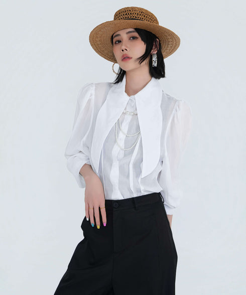 Wide Collar Sheer Blouse