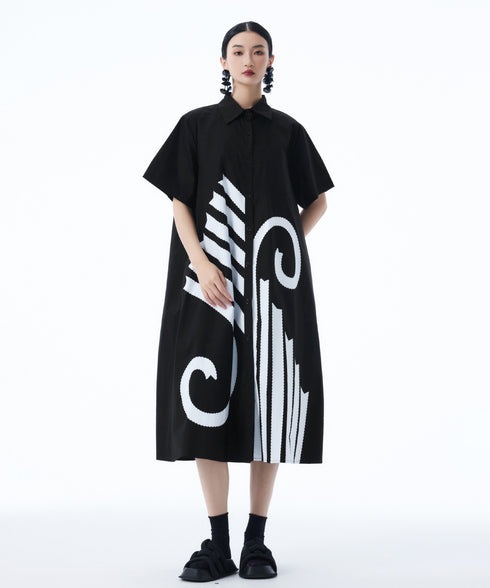 Graphic Flare Shirt Dress