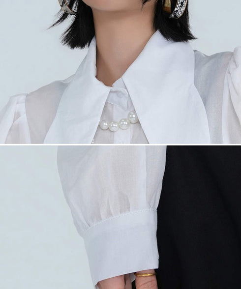 Wide Collar Sheer Blouse