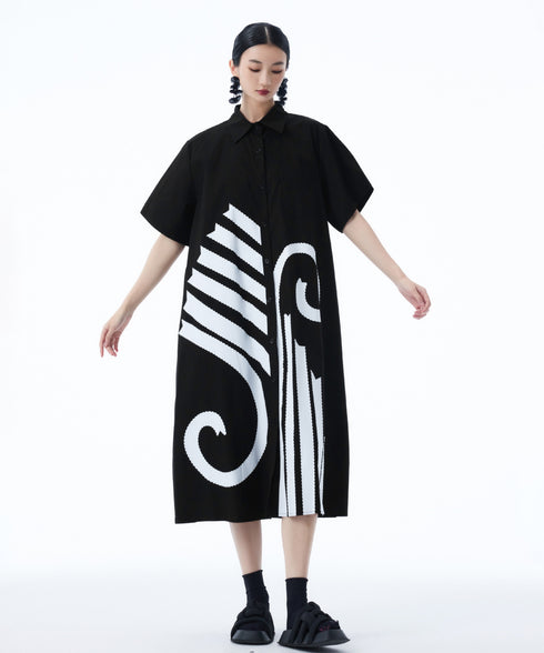 Graphic Flare Shirt Dress