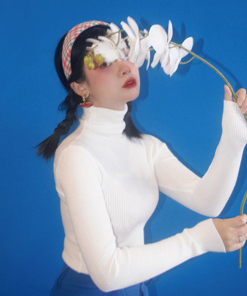 Rib Turtleneck Knit Top