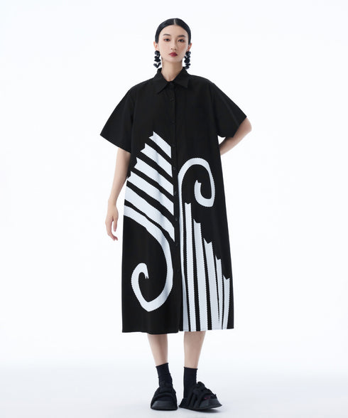 Graphic Flare Shirt Dress