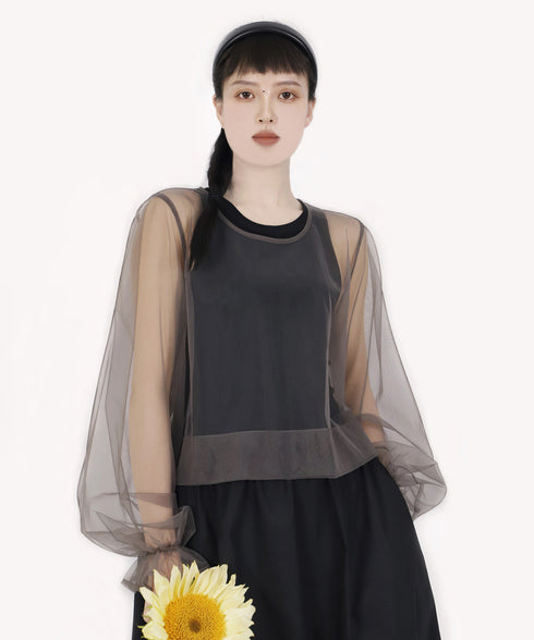 Aerial Veil Sleeve Top
