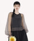 Aerial Veil Sleeve Top