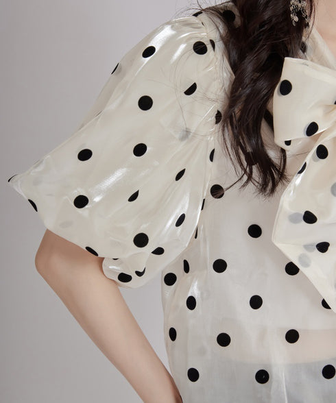 Glossy Dot Bow Blouse