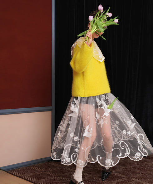 Sheer Embroidered Mesh Skirt
