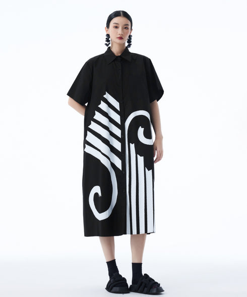 Graphic Flare Shirt Dress
