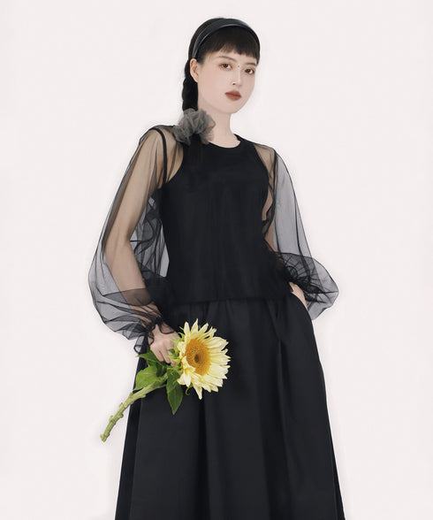 Aerial Veil Sleeve Top
