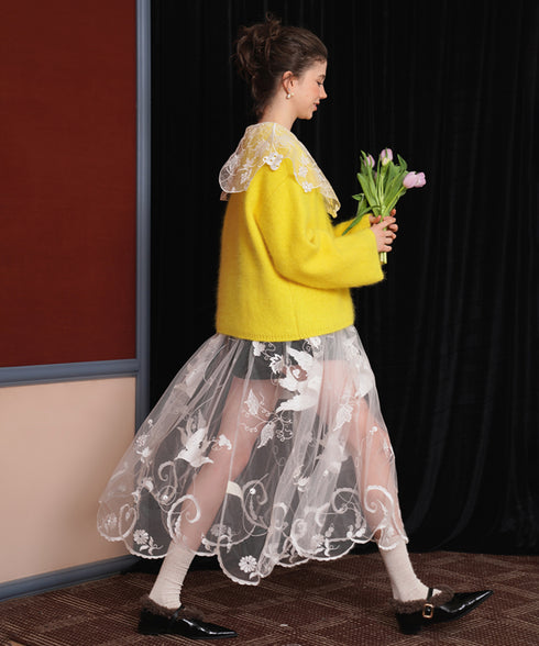 Sheer Embroidered Mesh Skirt