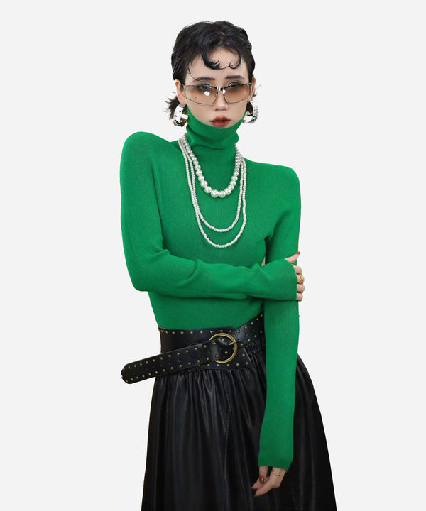 High Neck Slim Knit Top