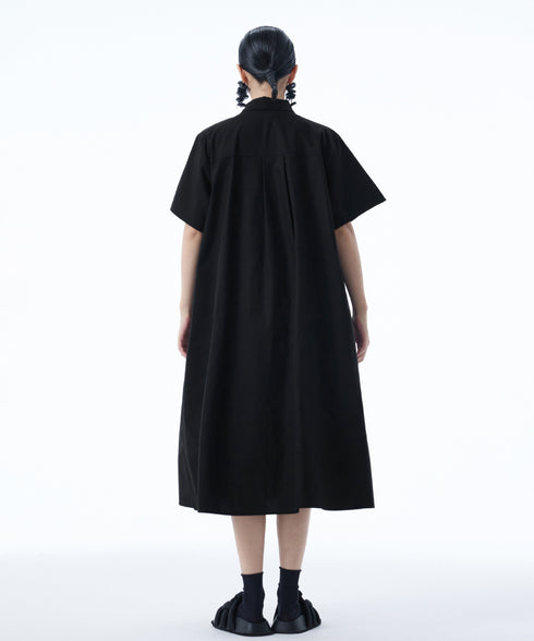 Graphic Flare Shirt Dress