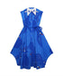 Blue Bird Flare Dress